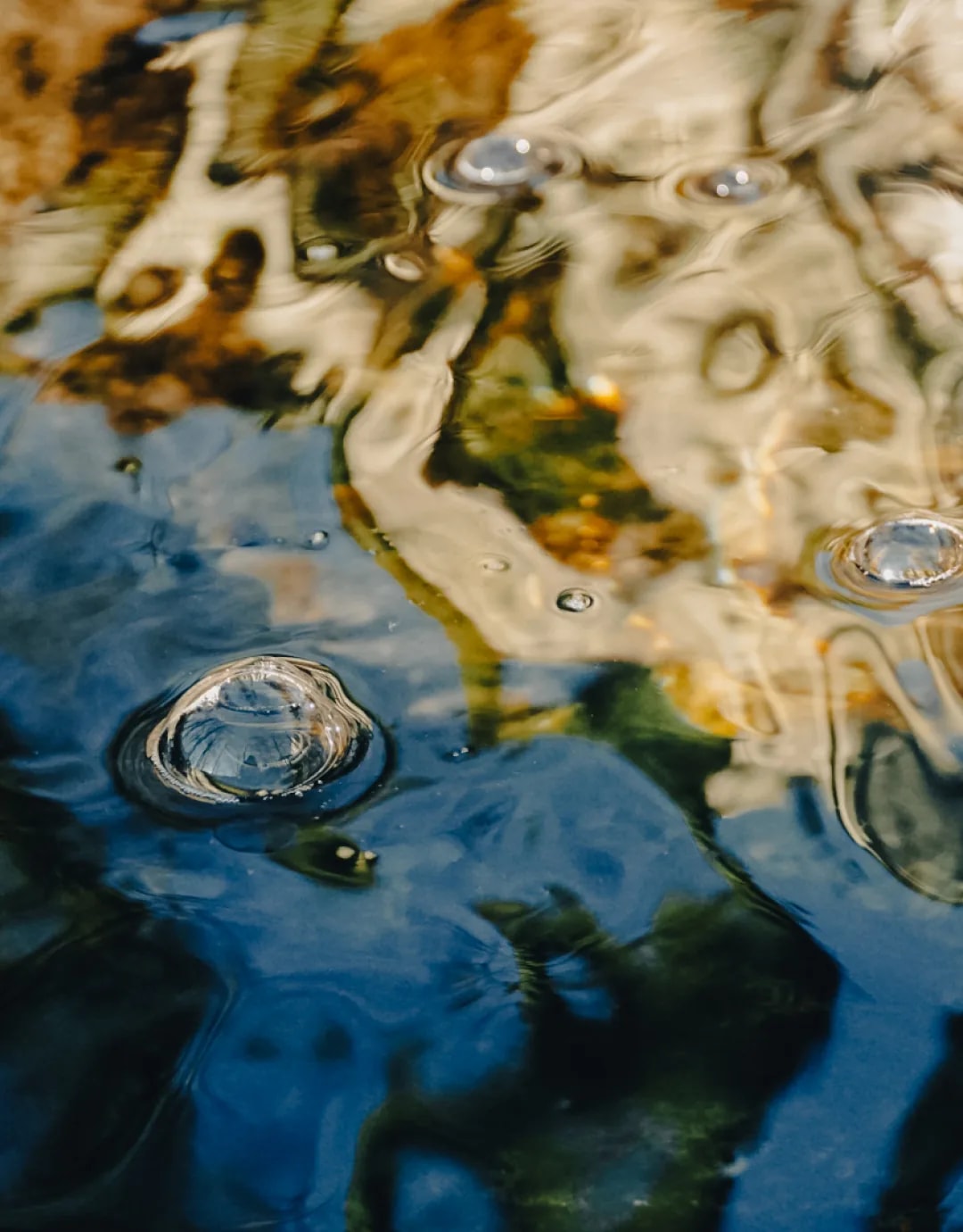 Photograph 31 by Kelly Jiang
